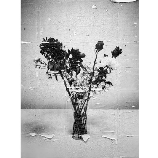 Blank 019.